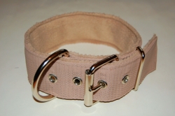 Obojek CarGi 5cm