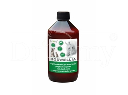 Dromy Boswellia liquid 1l
