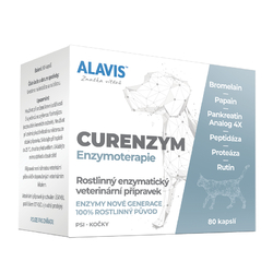 Enzymoterapie Alavis Curenzym 