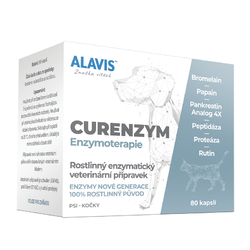 Enzymoterapie Alavis Curenzym 80cps