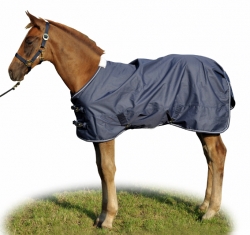 Hříběcí deka HKM Professional fleece