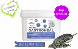 Dromy Gastroheal KONCENTRÁT 3kg 