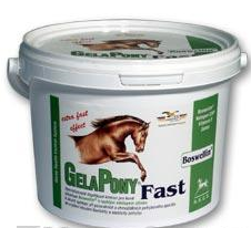 Gelapony Fast