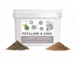 Dromy Psyllium + chia 3kg