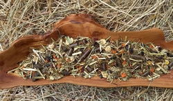 NovaEqui METABOLIC