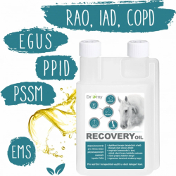 Dromy Recovery oil