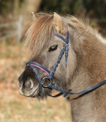 Uzdečka Unicorn 2